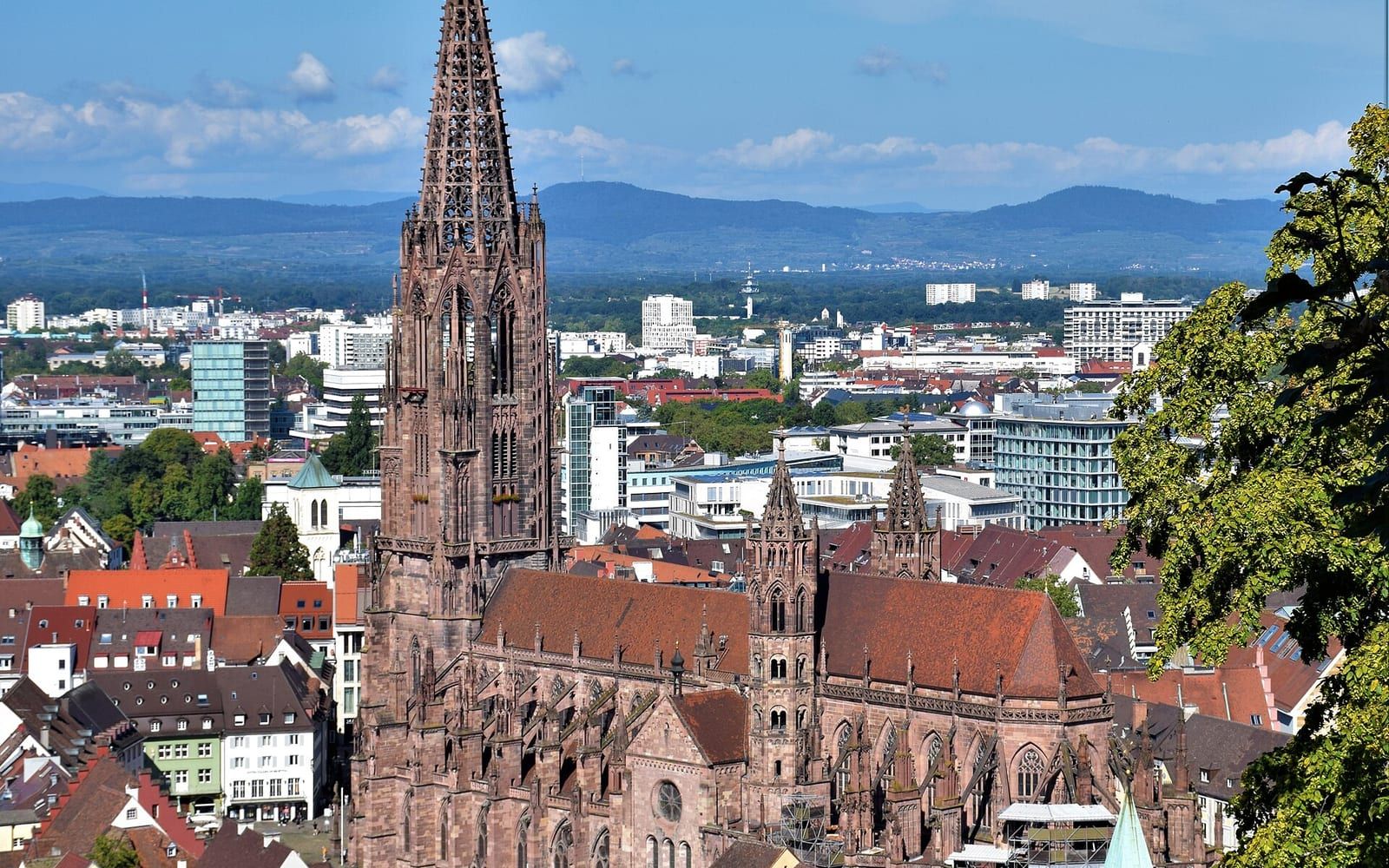Freiburger Münster in Freiburg – Velaro Systems, Agentur für Webdesign & SEO in Freiburg, im Bild das Freiburger Münster